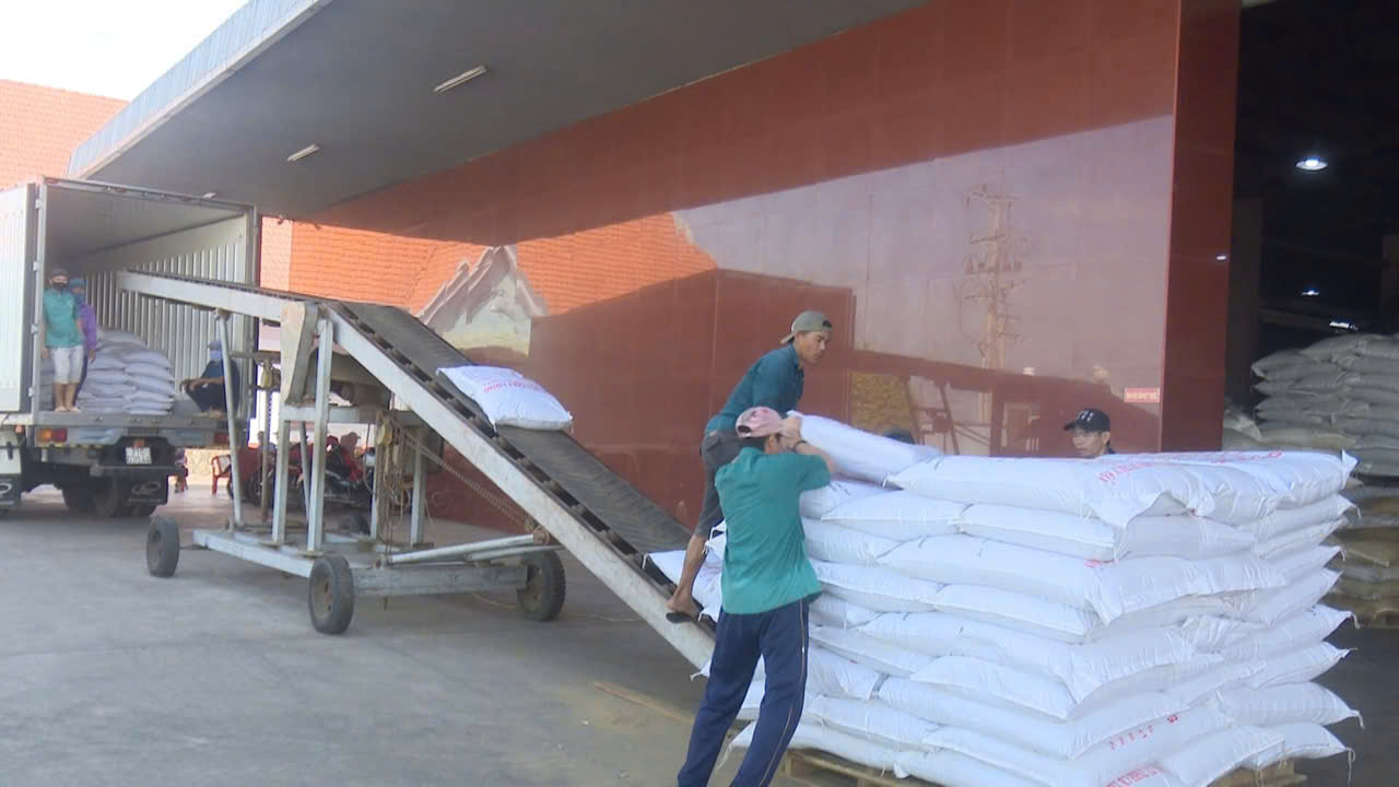 Xã Bình Đại: Doanh nghiệp trở lại hoạt động sau Tết Nguyên đán 2026
